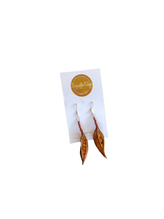 Minyuanthu Malagu Kurrajong seed earrings