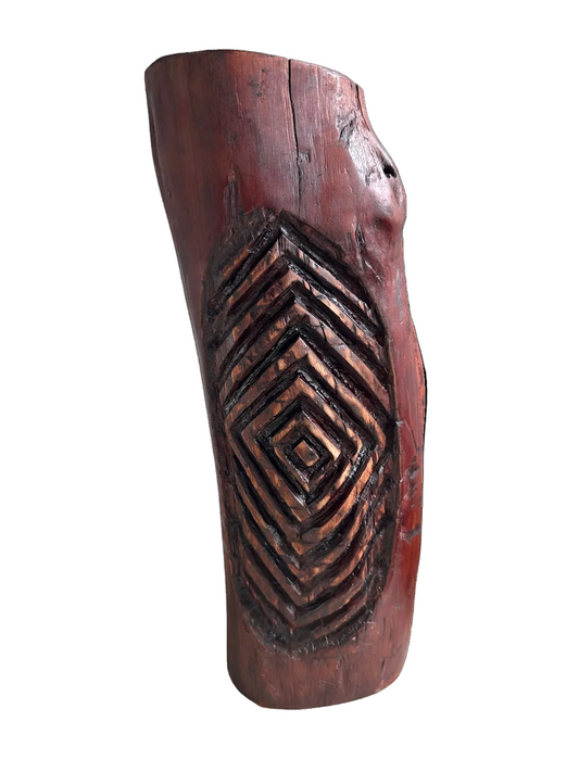 Wiradjuri Dendroglyph by Darren Charlwood
