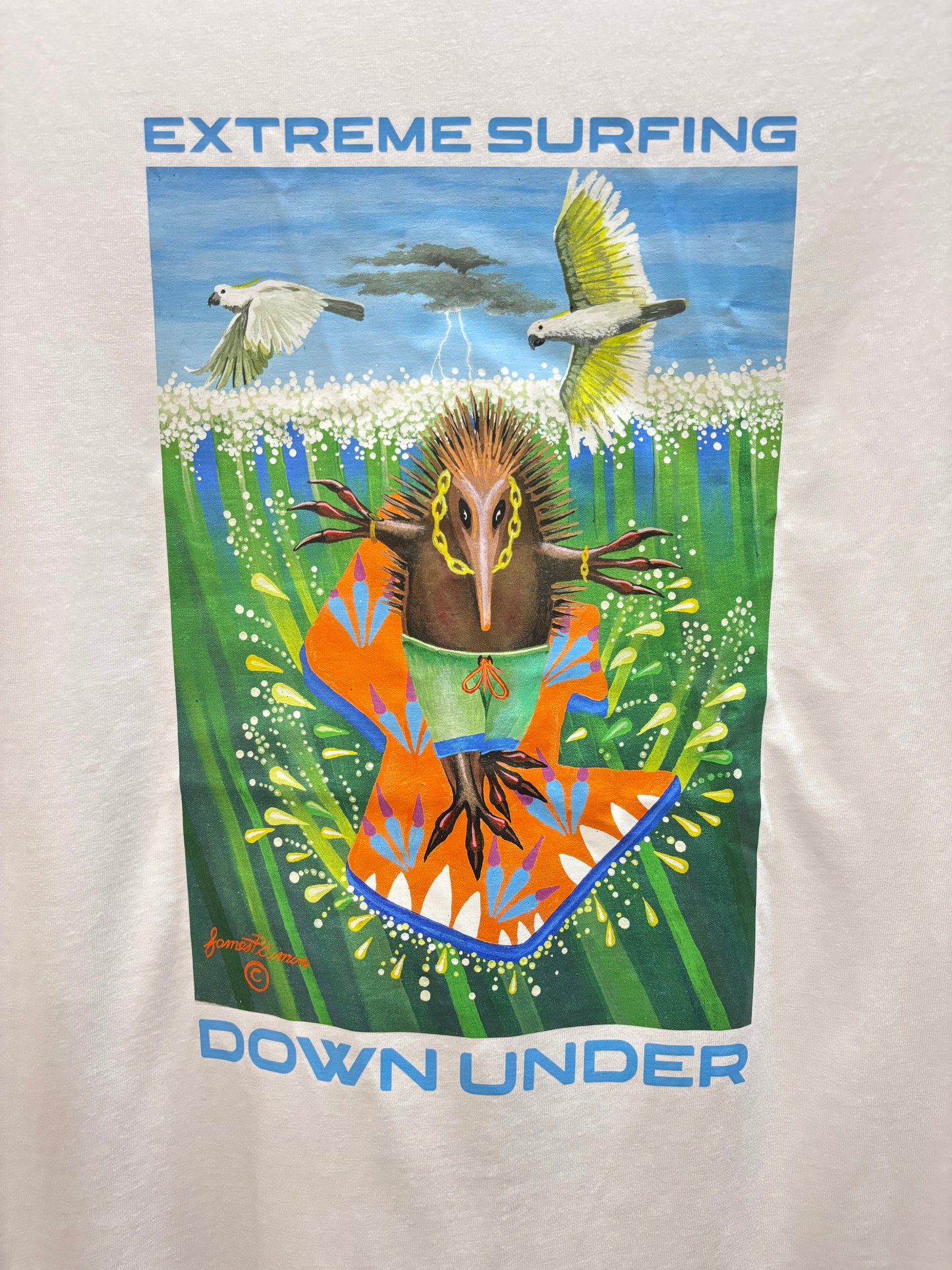 Extreme Surfing Shirts
