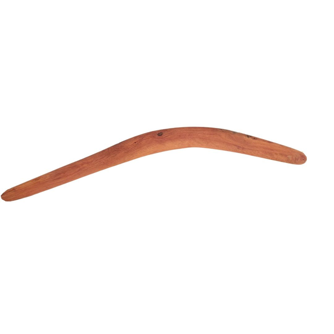 Killer Boomerang by Ralph Close